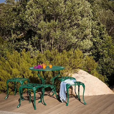 Arbousier Pianottoli-Caldarello (Corsica)